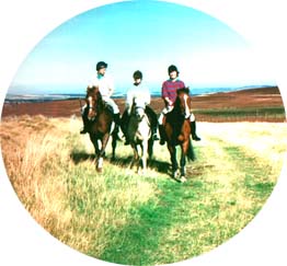 Northumbria Trail Riding